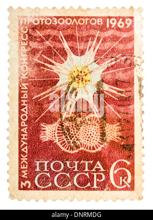 Urss - circa 1969 : carte postale imprimée dans l'URSS montre Troisième Congrès International Protozoologists, vers 1969 Banque D'Images