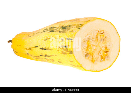 Moelle osseuse organique Banque D'Images