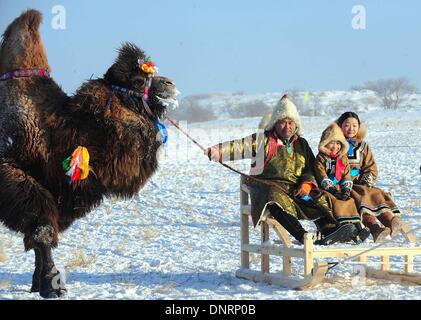 Xi Qi Ujimqin, Mongolie intérieure. 5Th Jan, 2014. Les gens aiment camel à chiens lors d'un événement de la culture à Xi Qi Ujimqin, Chine du nord, région autonome de Mongolie intérieure, le 5 janvier 2014. Un chameau culture festival a eu lieu le dimanche. Credit : Ren Junchuan/Xinhua/Alamy Live News Banque D'Images