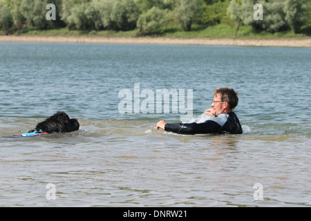 Chien Terre-Neuve / adulte sauve un nageur lors d'un training Banque D'Images