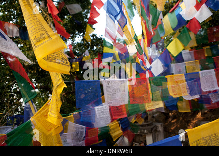 Drapeaux de prière bouddhiste à Dungeshwari temples de caverne, près de Gaya, Bihar, Inde Banque D'Images