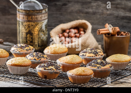 Muffins à la vanille sur grille de refroidissement Banque D'Images