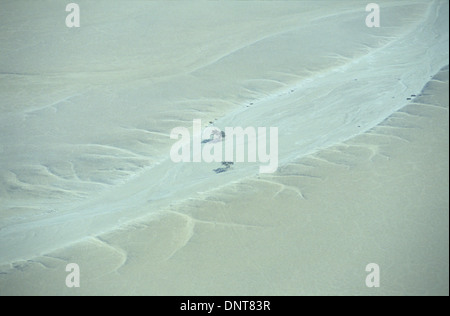 Vue aérienne des arbres dans la rivière Kuiseb, Namibie, Afrique Banque D'Images