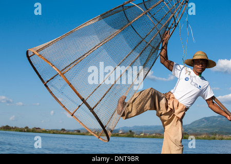 À propos de pêcheurs traditionnels birmans pour abaisser son piège dans l'eau le 3 novembre 2013 sur le lac Inle, Myanmar Banque D'Images