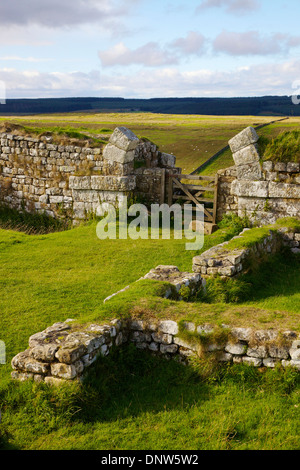 Milecastle 37 gate house près de Housteads Roman Fort sur le mur d'Hadrien, Sentier National Northumberland, Angleterre Royaume-Uni Banque D'Images