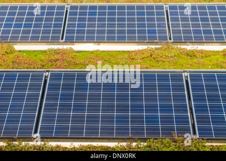 Des panneaux solaires sur le toit (avec jardin vert) Banque D'Images