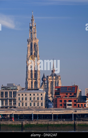 Vue sur la ville d'Anvers Belgique cathédrale Banque D'Images