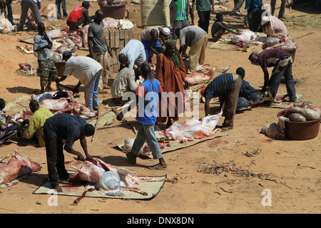 Les hommes de la communauté à Niamey, Niger travailler ensemble à sacrifier les moutons dans le cadre de la célébration de la Tabaski (Aïd al-Adha) Banque D'Images