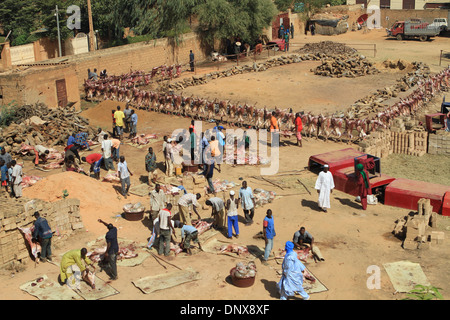 Les hommes de la communauté à Niamey, Niger travailler ensemble à sacrifier les moutons dans le cadre de la célébration de la Tabaski (Aïd al-Adha) Banque D'Images