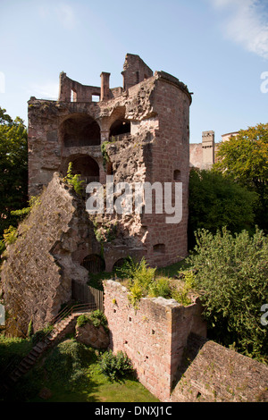 Les ruines du château de Heidelberg, Bade-Wurtemberg, Allemagne Banque D'Images