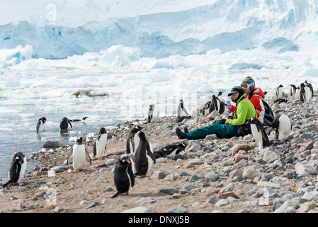L'ANTARCTIQUE - UN waddle de manchots se réunissent autour de quelques touristes assis sur la plage rocheuse à Neko Harbour sur la péninsule antarctique. Banque D'Images