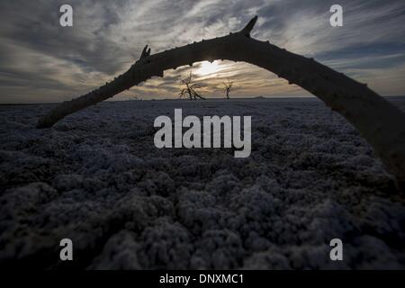 Los Angeles, Californie, USA. 4 janvier, 2014. Une marque est considérée comme la boue est incrustée de cristaux de sel au sud de la faille de San Andreas près de la zone du rift, le lac Salton le Samedi, Janvier 4, 2014 près de Calipatria, California.Le lac Salton est sous la pression d'un accord de transfert de l'eau, signé il y a dix ans, ce qui permettra de réduire la quantité d'eau qui entre dans le lac, les niveaux d'eau conduite potentiellement à baisser plus rapidement en 2017. Toutefois, les recettes provenant des projets d'énergie verte pourrait générer au moins une partie de l'argent l'Etat aurait besoin pour restaurer le lac Salton, MyDesert.com notes. (Ima Crédit Banque D'Images