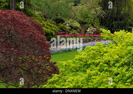 Les Butchart Gardens- fleurissement dans le jardin en contrebas, Victoria, BC, Canada Banque D'Images