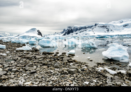 L'ANTARCTIQUE - Le rivage rocailleux de Cuverville Island sur le côté ouest de la péninsule antarctique. Banque D'Images