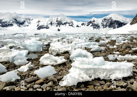 L'ANTARCTIQUE - Petits blocs de glace échoués sur la plage rocheuse à Cuverville Island dans la péninsule antarctique. Banque D'Images