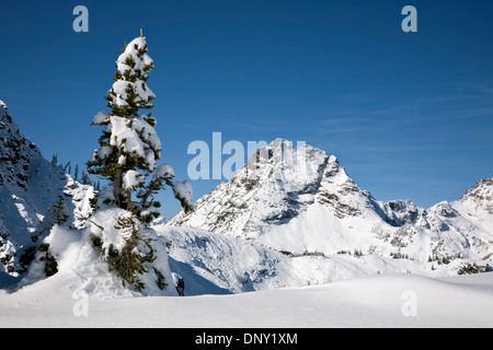 WASHINGTON - Corteo pic dans les North Cascades du Col d'érable dans le sentier en boucle de la Forêt nationale d'Okanogan. Banque D'Images