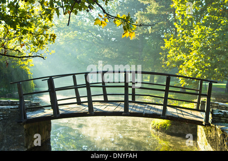 Petit pont en bois sur le premier matin au soleil Banque D'Images