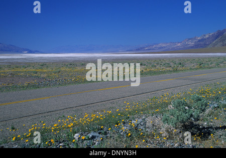 Elk248-1008 Californie, Death Valley National Park, park road et du paysage avec les fleurs sauvages Banque D'Images