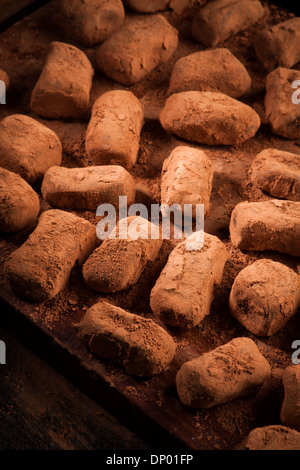 Truffes au chocolat en poudre de cacao Banque D'Images