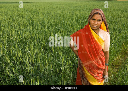 Mar 07, 2006 ; Deora village, Uttar-Pradesh, Inde ; CASHPOR Micro Credit client. Elle a utilisé son Rs. Prêt de 6 000 à louer un 8 biswa (984 mètres carrés) pour une année pour Rs. 1 500. Le reste de l'argent qu'elle a utilisé pour labourer, acheter des semences et de l'eau le terrain. Crédit obligatoire : Photo de Frank Huster/ZUMA Press. (©) Copyright 2006 par Frank Huster Banque D'Images