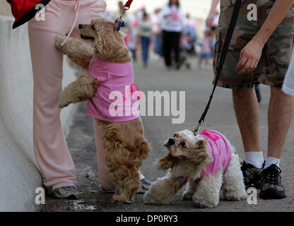 Apr 01, 2006 ; San Antonio, TX, USA ; Phoebee Daphnée et prendre une pause de l'eau avec leurs propriétaires le long de la route pendant la course à la vie. Crédit obligatoire : Photo par Bahram Mark Sobhani/ZUMA Press. (©) Copyright 2006 par San Antonio Express-News Banque D'Images