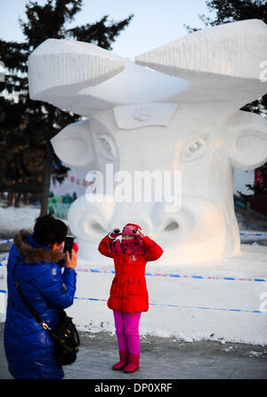 Changchun, Jilin Province de la Chine. 6 janvier, 2014. Une jeune fille pose pour des photos en face d'une sculpture de neige au parc Nanhu à Changchun, capitale de la province de Jilin du nord-est de la Chine, le 6 janvier 2013. Credit : Xu Chang/Xinhua/Alamy Live News Banque D'Images