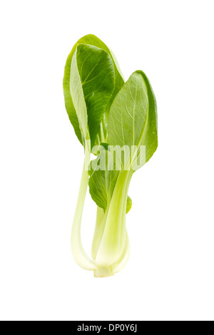 Bok choi vert frais isolé sur blanc. Banque D'Images