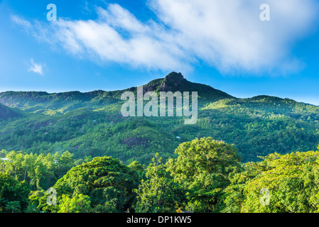 Paysage de Mahe, Seychelles Banque D'Images