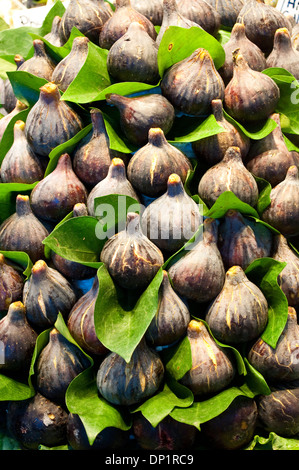 Figues, marché de la Boqueria, La Rambla, Barcelone, Catalogne, Espagne Banque D'Images