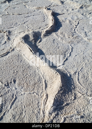 Croûtes de sel au bassin de Badwater, sel dans la vallée de la mort, le point le plus bas en Amérique du Nord, Death Valley National Park Banque D'Images