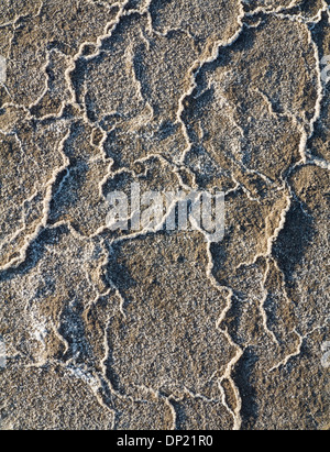 Vue détaillée des dépôts de sel sur les salines, le centre de la vallée de la mort, Death Valley National Park, California, USA Banque D'Images