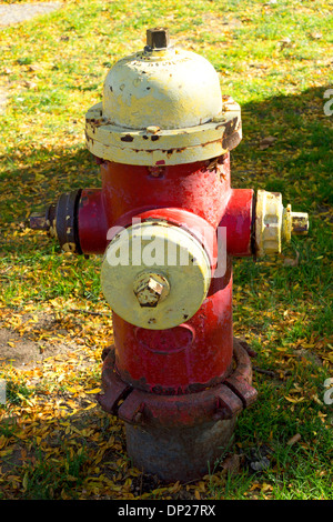 Le rouge et le jaune d'incendie sur l'herbe Banque D'Images