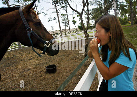 21 mai, 2006 ; Delray Beach, FL, USA ; MICHIKO GOFF, Delray Beach bites off un morceau de carotte pour disperser la part de tous les chevaux pendant une collecte de fonds au profit du St.Jude Children's Research Hospital le dimanche à Johnson's Folly ferme équestre à Delray Beach. Le produit de la collecte de fonds s'Dimanche ira au profit du St.Jude Children's Research Hospital. L'événement inclus hors Banque D'Images