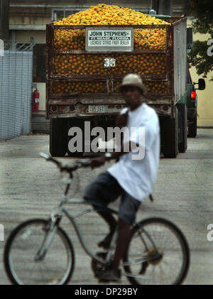 23 mai, 2006 ; Bradenton, FL, USA ; environ 85 pour cent de l'stateÕs les oranges, rendez-vous pour le jus. Une personne sur trois oranges cultivées en Floride est acheté par Tropicana, une filiale de PepsiCo. TropicanaÕs plantes mammouth dans Bradenton et Fort Pierce squeeze 300 000 boîtes d'oranges par jour, produisant 400 millions de gallons de jus d'orange d'un an, a déclaré Bill Ferrari, vice-président en charge de procur Banque D'Images