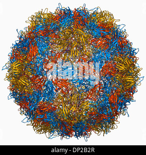 Le poliovirus de type 3, le modèle moléculaire de la capside Banque D'Images