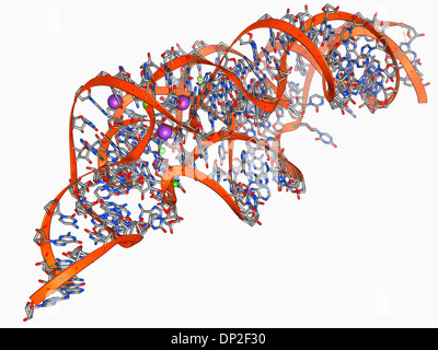Molécule d'ARN à détection de métaux Banque D'Images