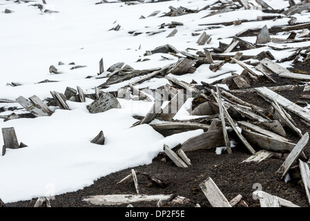 Whalers Bay Whaling Station ruines Deception Island Antarctica // des arbres de bois se trouvent sur la plage partiellement couverte de neige parmi les ruines de l'ancienne station baleinière de Whalers Bay sur Deception Island. Deception Island, dans les îles Shetland du Sud, est une caldeira d'un volcan et est composée de roches volcaniques. Banque D'Images