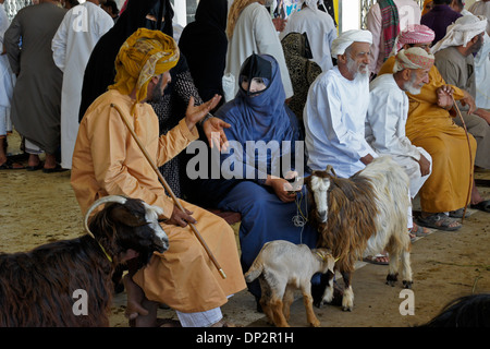 Bedu (bédouins) les personnes vendant les chèvres au marché des animaux à Sinaw, Oman Banque D'Images