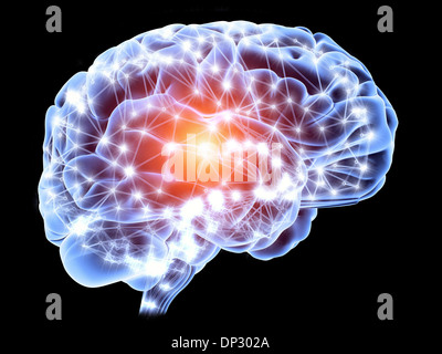 Cerveau, réseau de neurones Banque D'Images