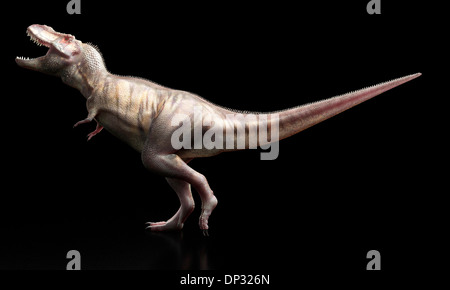 T-Rex, oeuvre Banque D'Images