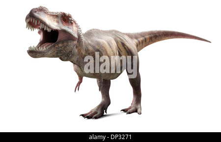 T-Rex, oeuvre Banque D'Images