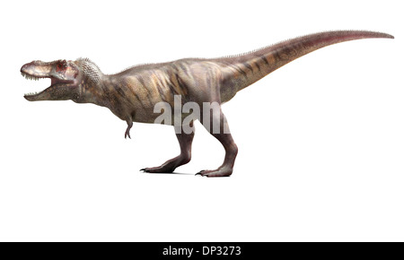 T-Rex, oeuvre Banque D'Images