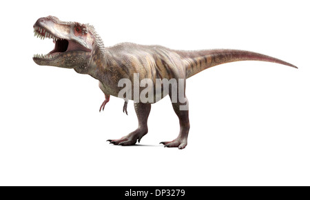 T-Rex, oeuvre Banque D'Images