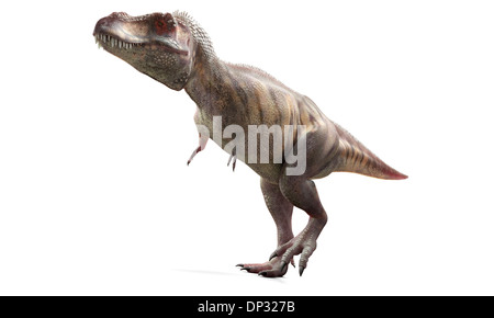 T-Rex, oeuvre Banque D'Images