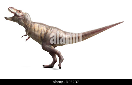 T-Rex, oeuvre Banque D'Images