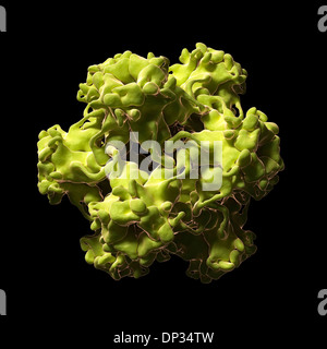 Le virus du papillome humain, artwork Banque D'Images