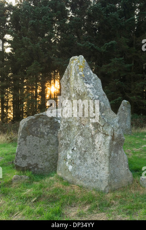 Aikey Brae Stone Circle, près de Deer, Aberdeenshire, Scotland, UK. Banque D'Images