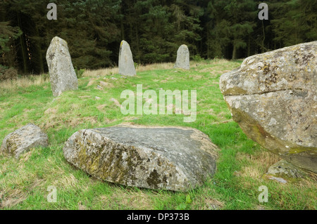 Aikey Brae Stone Circle, près de Deer, Aberdeenshire, Scotland, UK. Banque D'Images