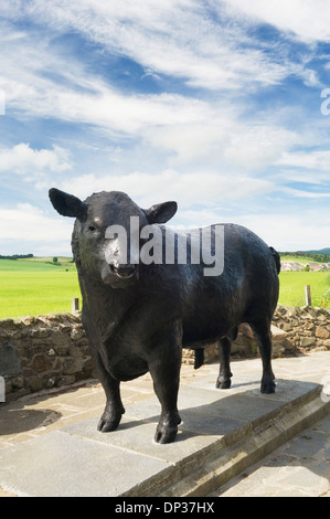 Aberdeen Angus Statue d'un taureau à l'entrée de la ville de Alford, Aberdeenshire, Ecosse. Banque D'Images