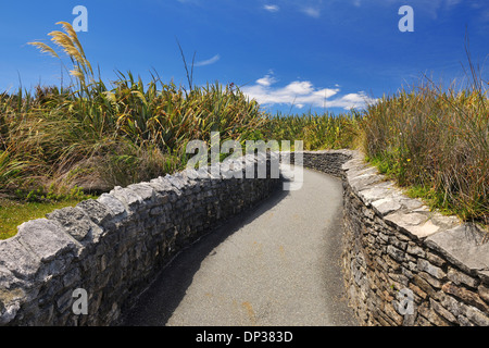 Sentier pédestre en été, Pancake Rocks, West Coast, South Island, New Zealand Banque D'Images